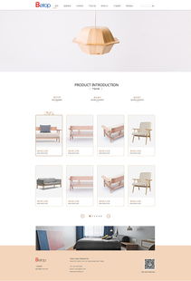 天津網(wǎng)站開發(fā) 家居家裝官網(wǎng)