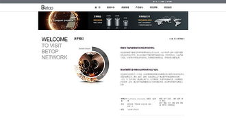 天津網(wǎng)頁(yè)開(kāi)發(fā)與工業(yè)制造官網(wǎng)設(shè)計(jì)——奔唐網(wǎng)絡(luò)的卓越實(shí)踐